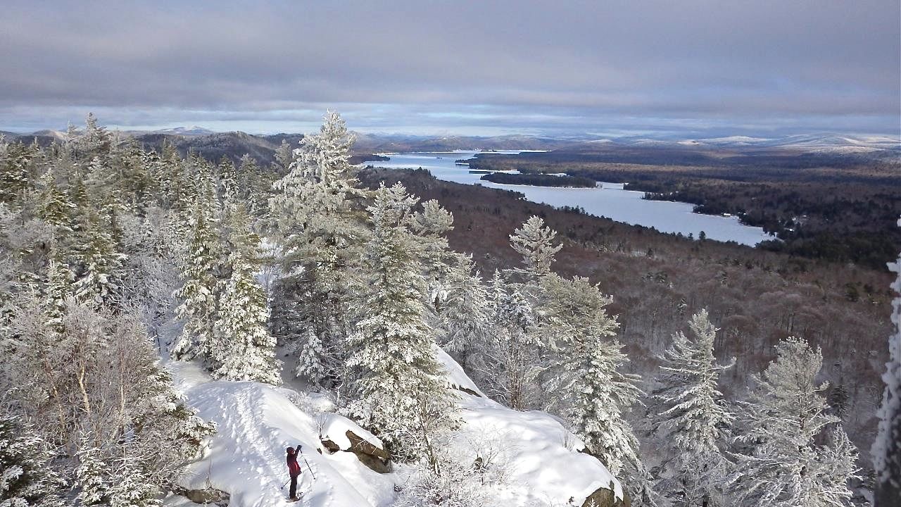 Snowshoe Bald