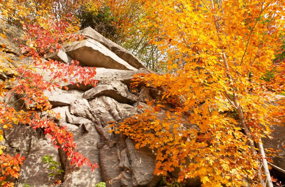 inlet fall
